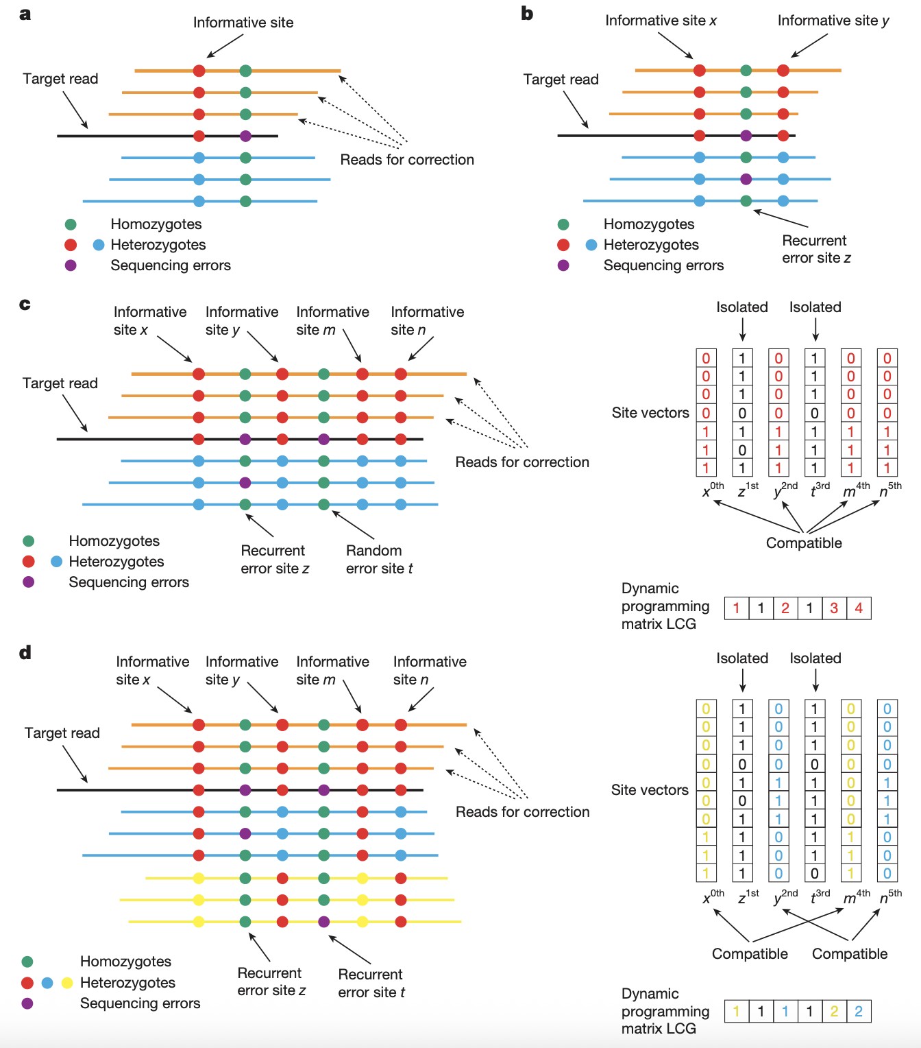 ONT Only T2T Genome Assembly: Breaking the “No Gap” Barrier Introduction